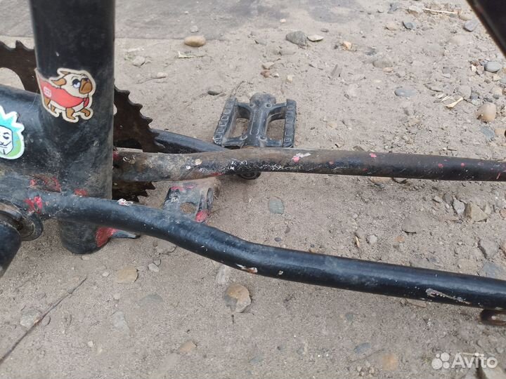 Рама велика аист