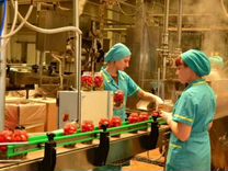 Рабочий на консервный завод Вахта 3х раз питанием