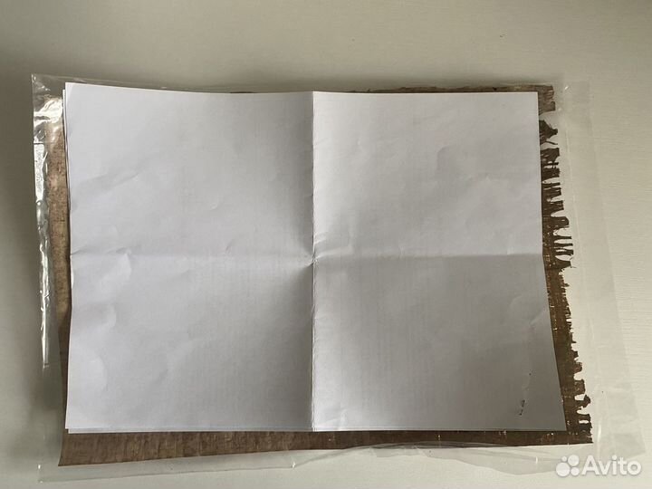 Новая Картина на папирусе с Египта