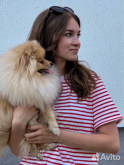 Репетитор по математике