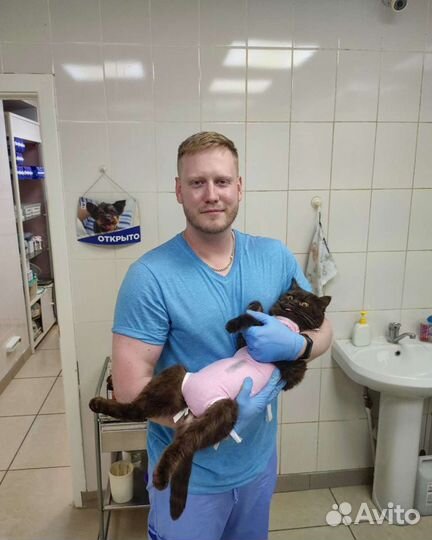 Ветеринарный врач