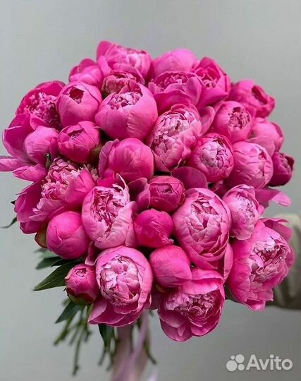 Пионы Розы Доставка