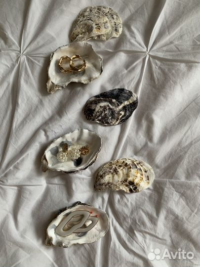 Раковины устриц (двойные) с двумя створками