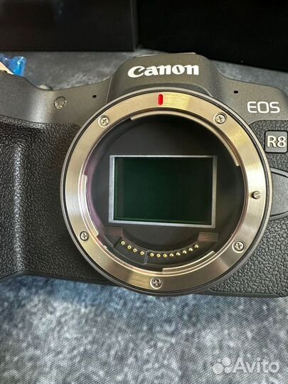 Цифровая камера Canon EOS R8 body