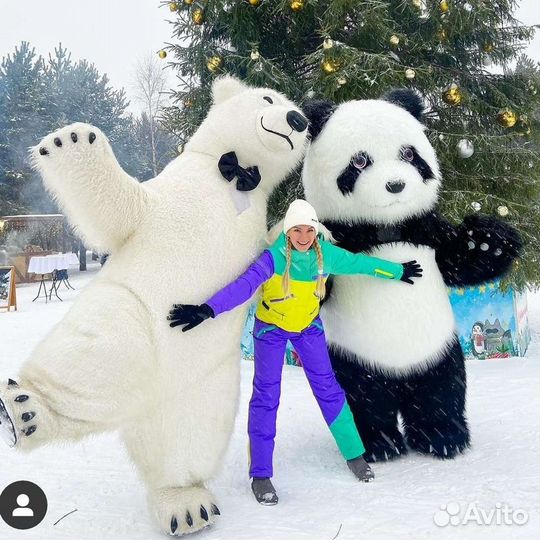 Поздравление от белого мишки. Ростовые куклы.Панда