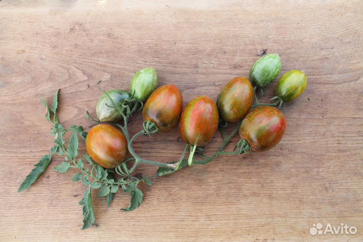 Томат, физалис, годжи, семена