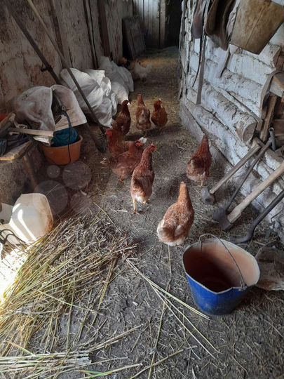 Участок 33,2 га (СНТ, ДНП)