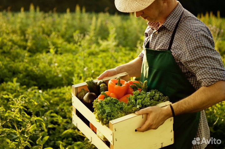 Разнорабочий вахта