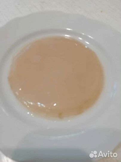 Чайный гриб