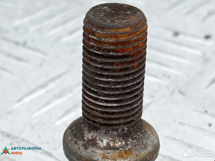 Болт колесный Audi A4 B7 2004 701601139B