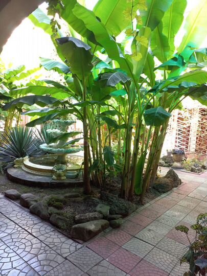 Комната 25 м², 2/2 эт.