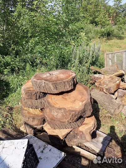 Спилы абрикоса, дуб