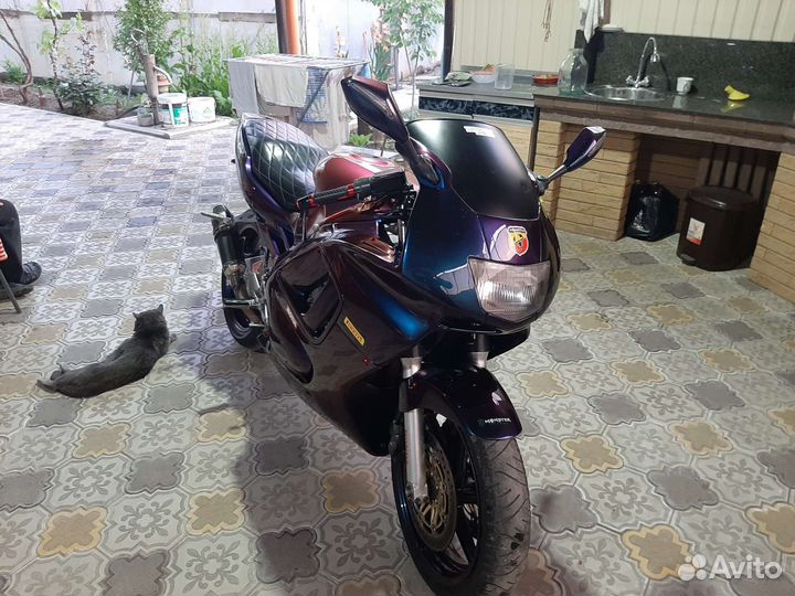 Хонда сбр 600f3