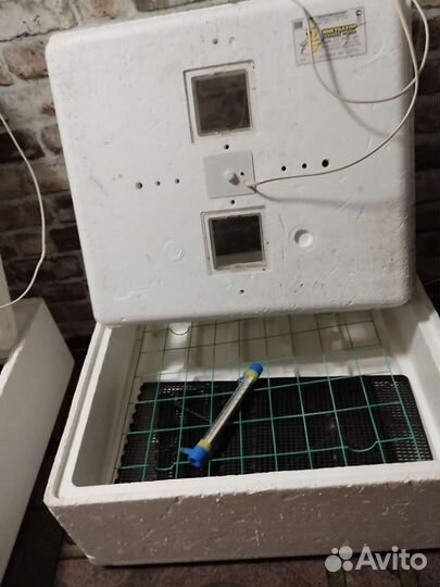 Инкубатор для яиц бу