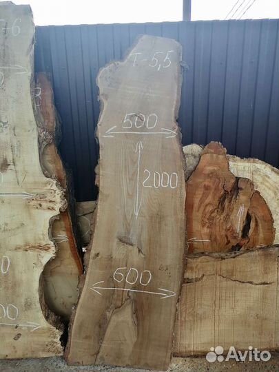 Слэб карагач