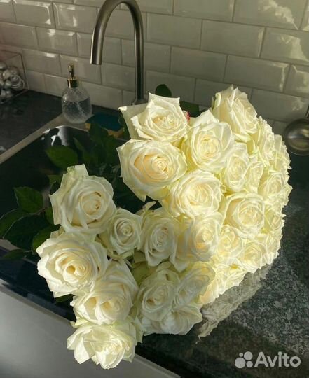 101 роза белая