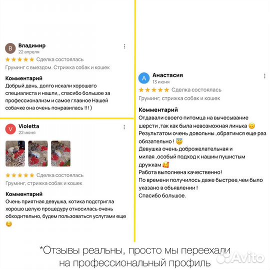 Груминг, стрижка собак и кошек
