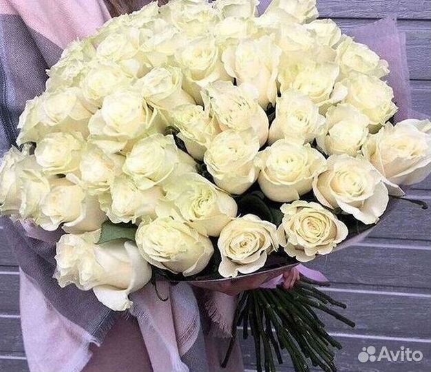 Высокие розы Гигантские розы Доставка цветов