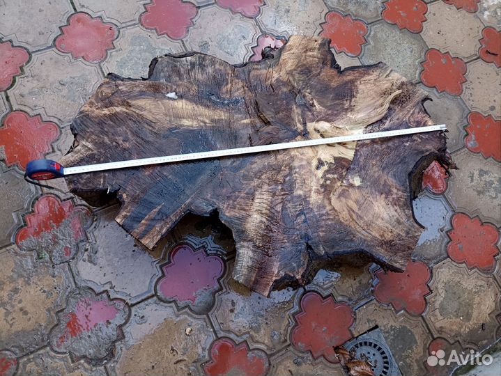 Спил грецкий орех