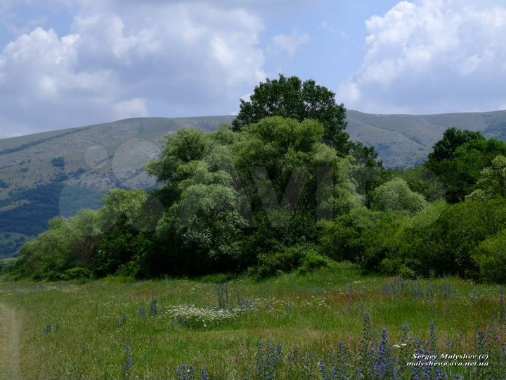 Участок 6 га (СНТ, ДНП)