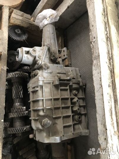 Рома от газели