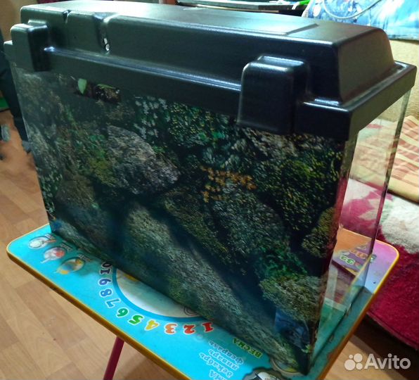Аквариум