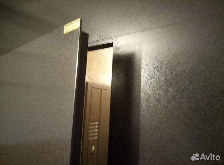 Дверь нового поколения, (краска под порошок)