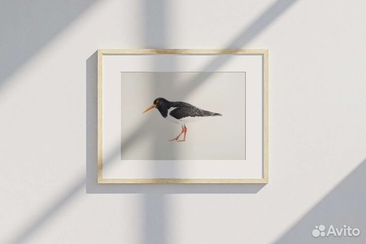 Картина акварелью 