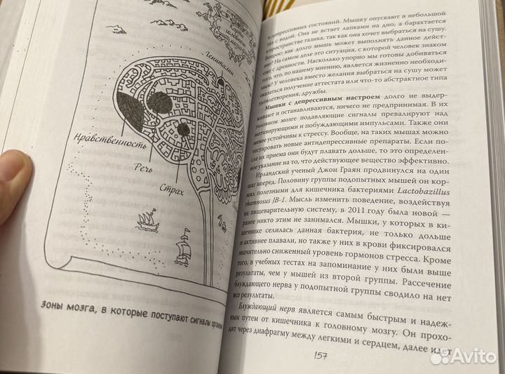 Oчapовaтeльный кишечник Джулия Эндeрс