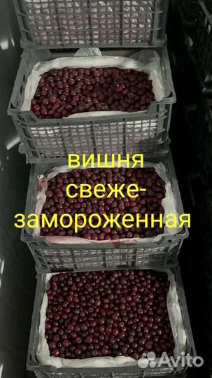Вишня замороженная оптом