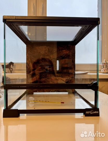 Террариум для рептилий