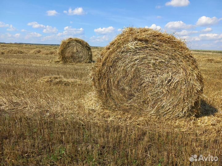 Солома в тюках
