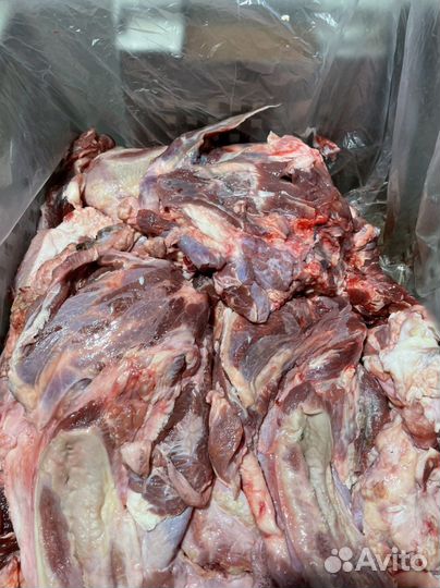 Мясо говядина б/к