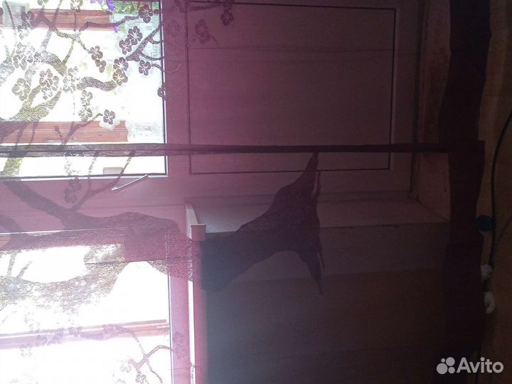 Шторы в гостинную