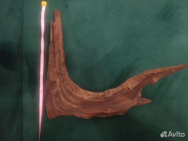 Мангровая коряга в аквариум