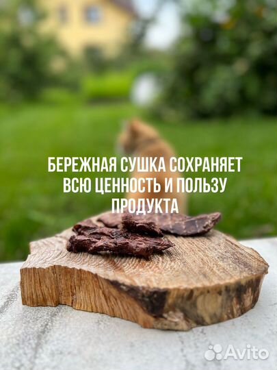 Лакомства для собак и кошек