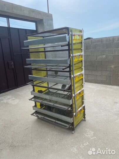 Клетки для перепелов