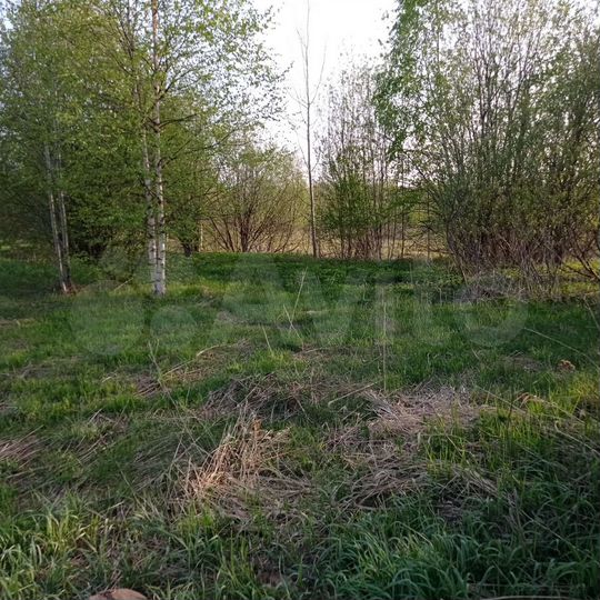 Участок 11,6 сот. (ИЖС)