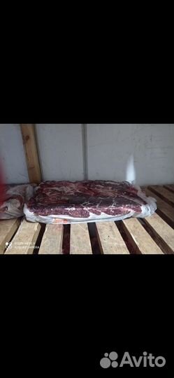 Собачий корм