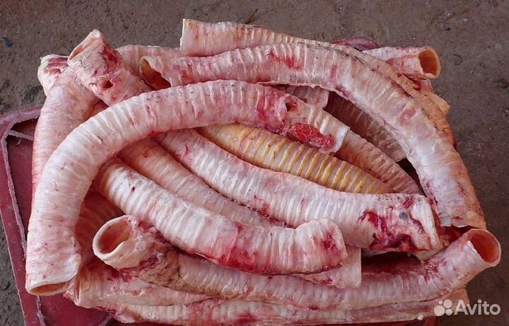 Вымя,легкое,печень,трахея,почки,носы для собак