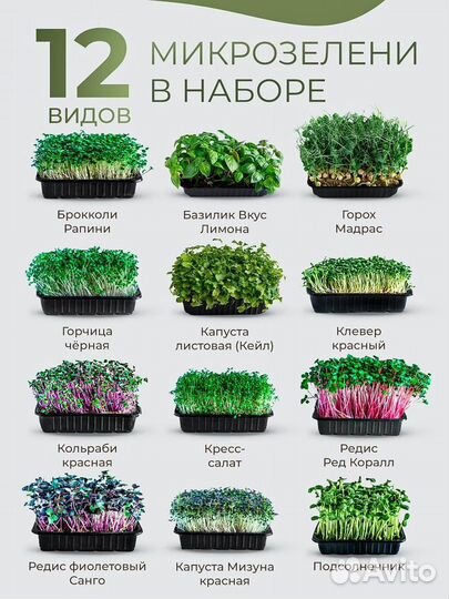 Набор для выращивания микрозелени