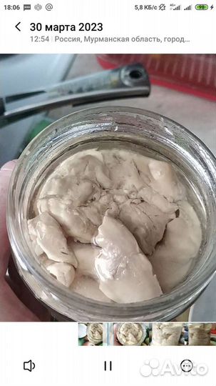 Печень трески