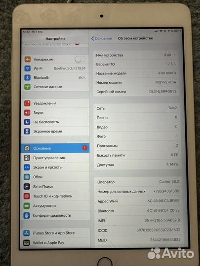 iPad mini 3