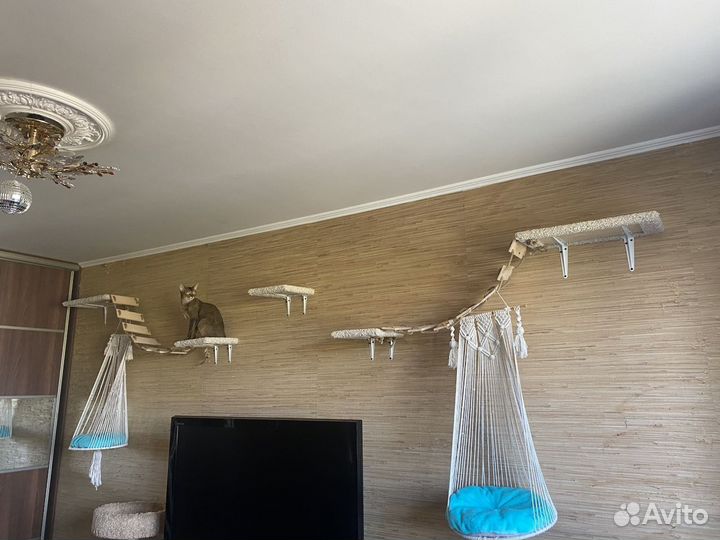 Настенный игоровой комплекс для кошек Новый