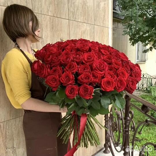 Цветы Красная Роза 41 51 101 премиум Розы