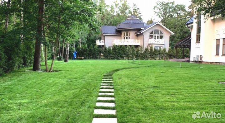 Рулонный газон