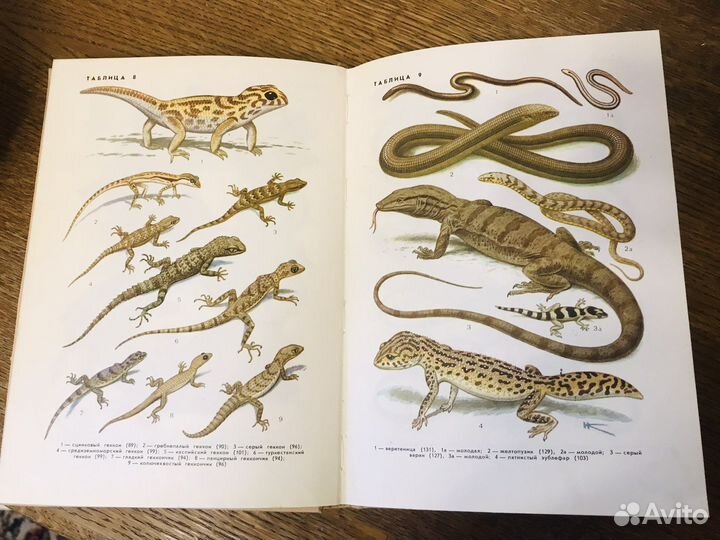 Справочники Птицы СССР Насекомые СССР и др