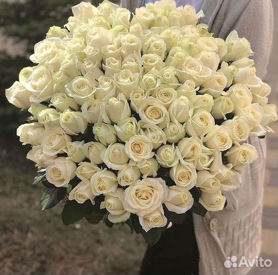 Розы высокие Доставка цветов