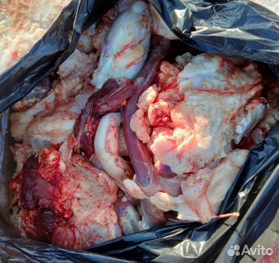 Говяжьи обрези для собак