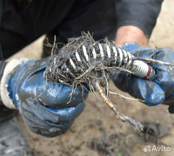 Прочистка канализации / Устранение засоров Частник